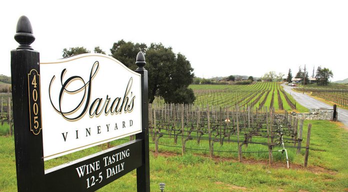 Sarah’s Vineyard to celebrate 40 years