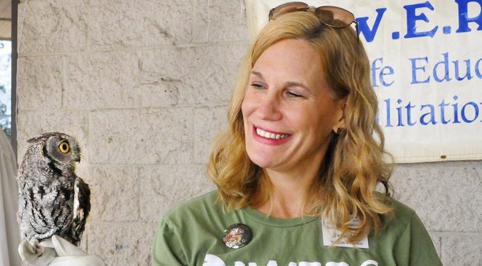 Funding is for birds