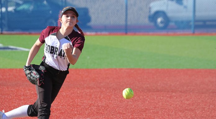 Bulldogs on the attack