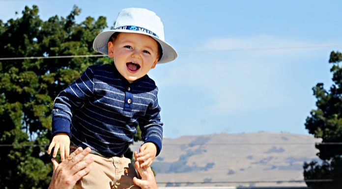 San Martin Pumpkin Park ‘not going anywhere’