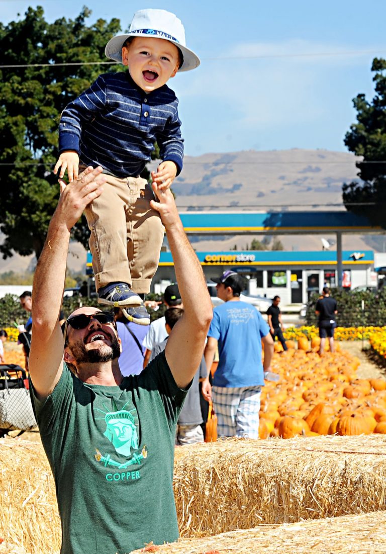San Martin Pumpkin Park ‘not going anywhere’