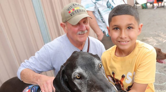 An egg hunt for vets