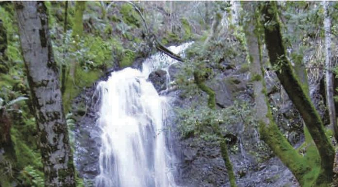 Uvas Canyon park reopens