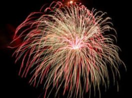 Guest view: Freedom Fest depends on your donations, time