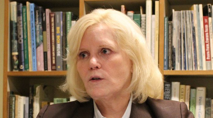 Sheriff pleads the Fifth in CCW testimony