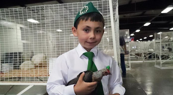 Fair time is fun time