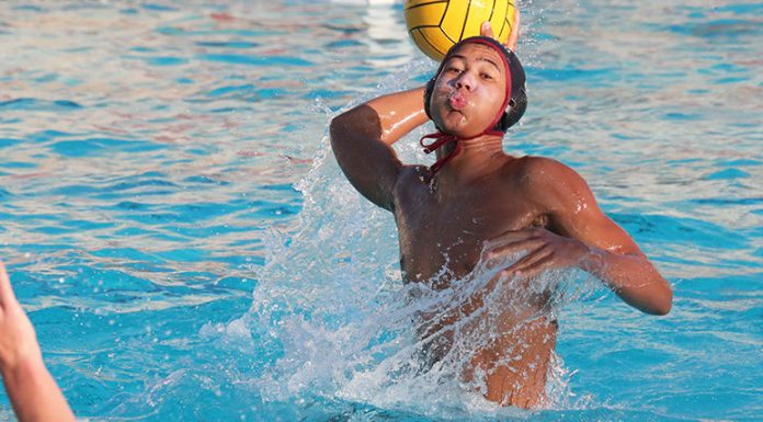 Sobrato looks to be bullish on competition