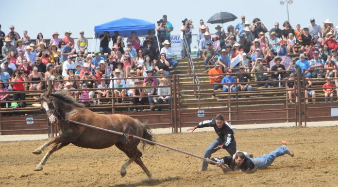 Rodeo has a rip-snorting first day