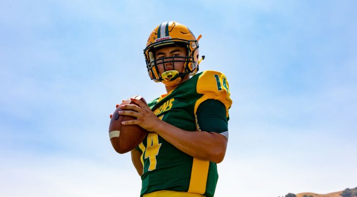 Acorns get up to speed