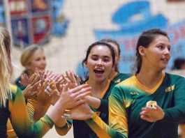 Acorns on the upswing