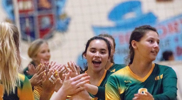 Acorns on the upswing