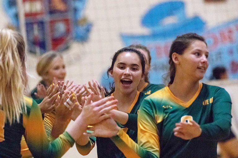 Acorns on the upswing