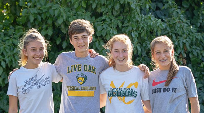 Acorns seek a CCS run