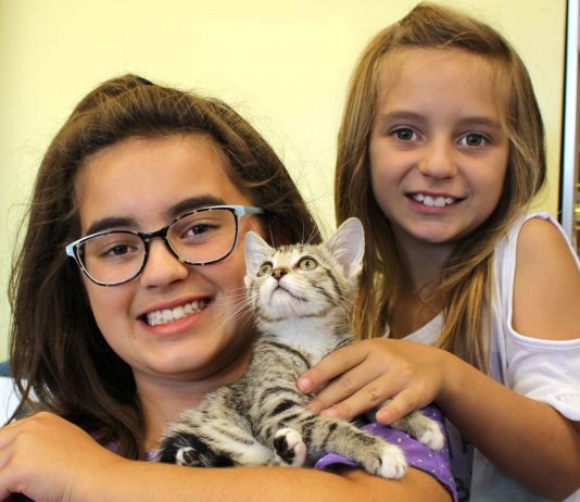 County, cities partner for animal shelter services