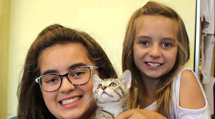 County, cities partner for animal shelter services