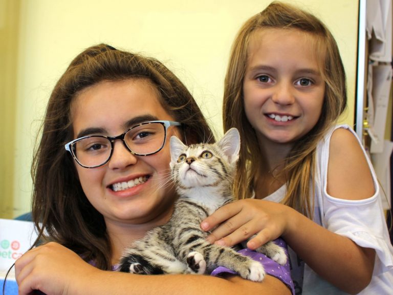 County, cities partner for animal shelter services