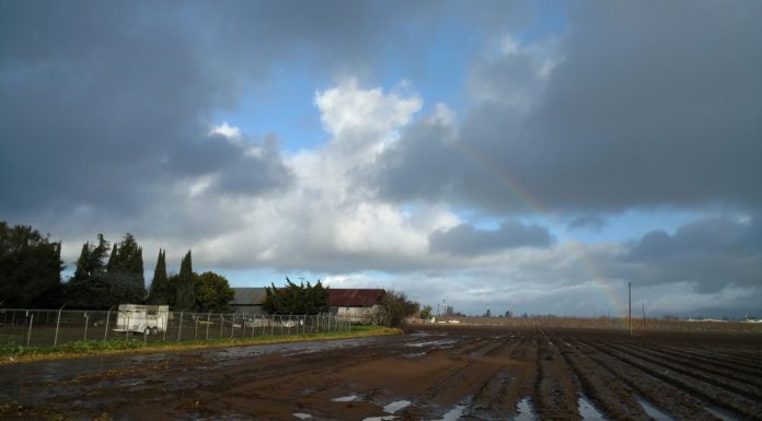 County ag revenues top $316 million