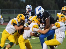 Acorns put it all together in rolling Mustangs