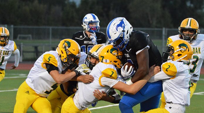 Acorns put it all together in rolling Mustangs