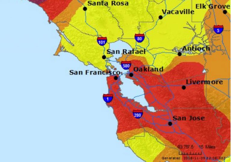 Live Oak Bounces Back