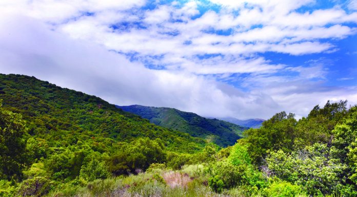 Kennett on his way to Open Space re-election