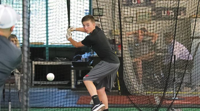 Dub Baseball to celebrate expansion