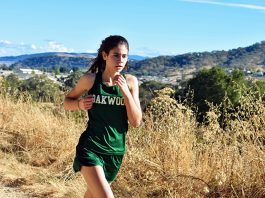 Marcotullio, Oakwood on a good run