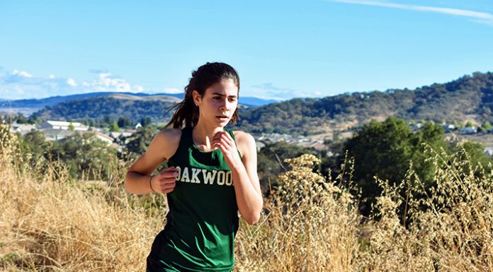 Marcotullio, Oakwood on a good run