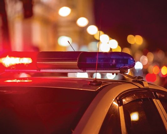 Police blotter: Stolen vehicles, burglaries