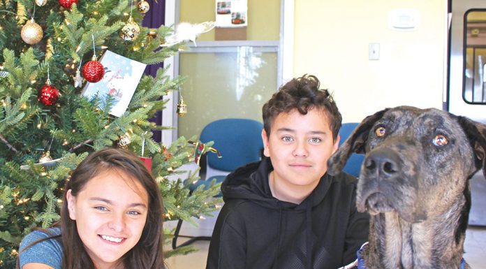 Home for the holidays