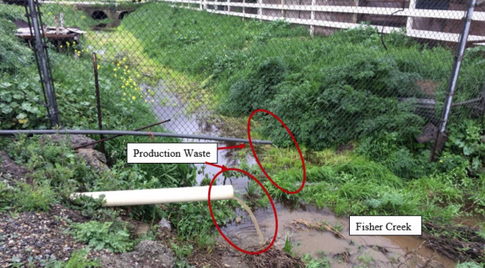 DA: Mushroom farm dumped toxins into creek