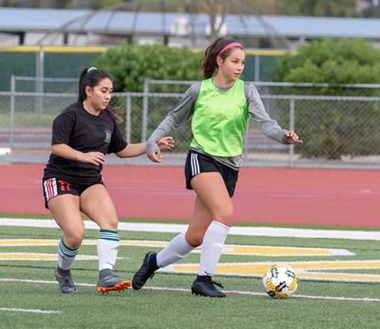 Acorns look to contend for A-league title