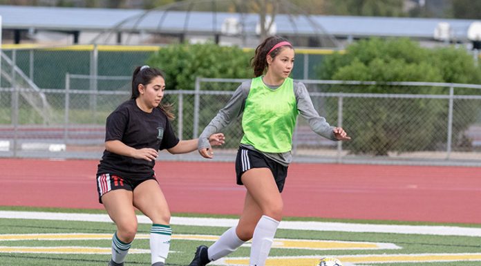 Acorns look to contend for A-league title