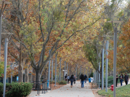 Enrollment opens for Gavilan