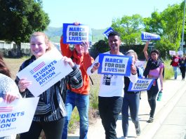 2018: The year in education