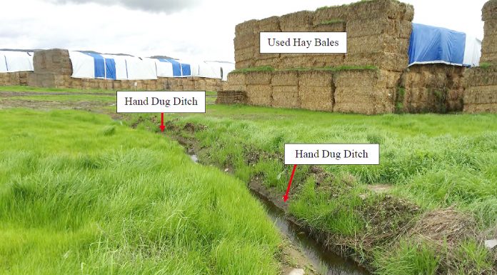 Mushroom grower settles for $2.24M