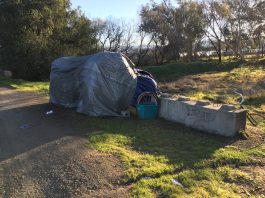Homeless census shows decline in unsheltered population