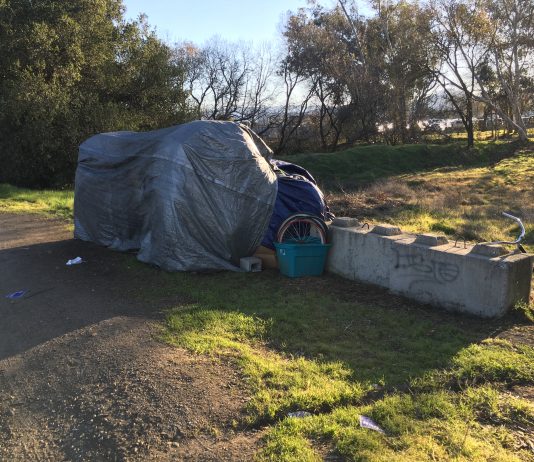 Homeless census shows decline in unsheltered population