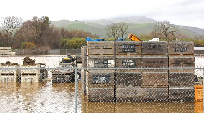 Uesugi Farms is going out of business