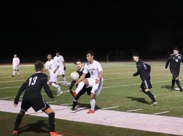 Acorns set for big turnaround