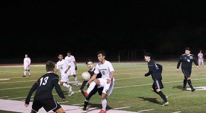 Acorns set for big turnaround