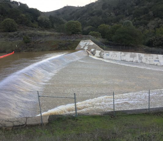 Pinnacles a hive of activity