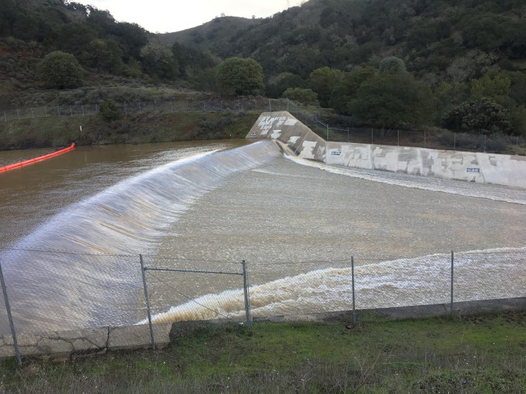 Pinnacles a hive of activity