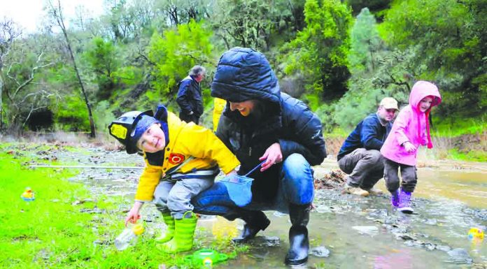 Acorns off and running after second straight high-scoring victory