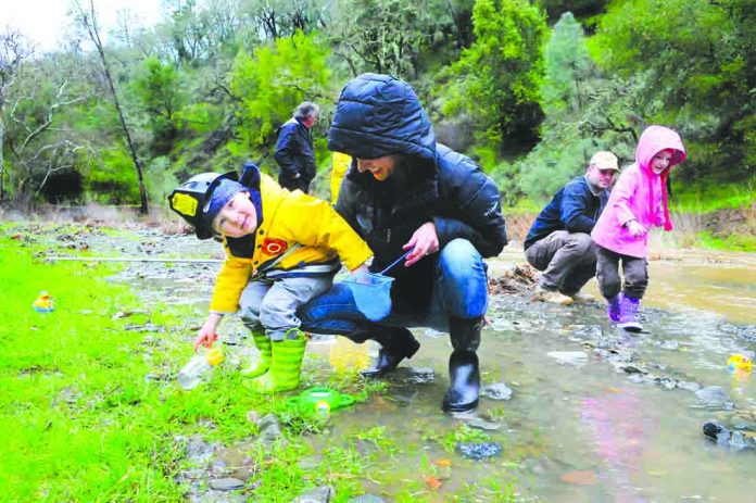Henry W. Coe State Park