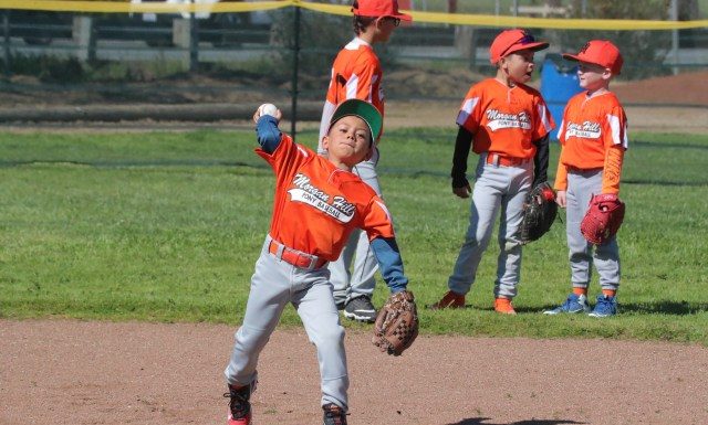 LO Defense Never Relents