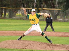 Acorns seek major turnaround