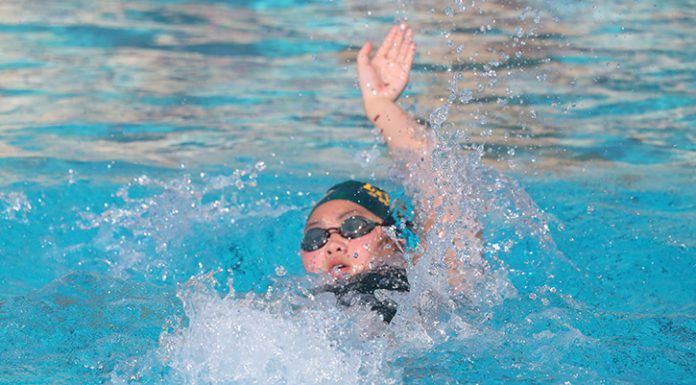 Acorns are strong despite small numbers