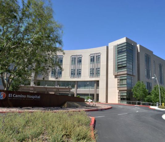 ’Dogs Mugged by Reality