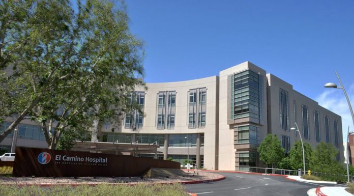 ’Dogs Mugged by Reality